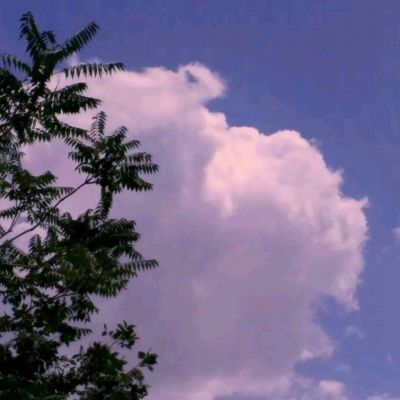 每天白賺10塊錢(qián)!上KK官方對(duì)戰(zhàn)平臺(tái)免費(fèi)玩DotA OMG4+2 